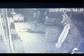 奇葩！四好友酒后“武艺比试”被公安局逮捕图片