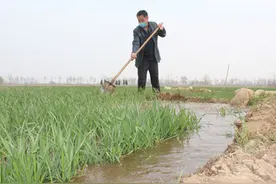 德州市庆云县中丁乡甄家村：领创办合作社迈向增收致富路图片