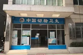 保障疫情下肉品供应安全：运猪车装GPS溯源图片