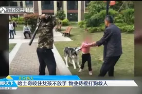 张家界：哈士奇“发疯”咬住女孩不松口，小区物业持棍打狗救人视频封面