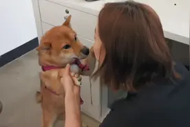 王珞丹分享瓢哥调皮视频 在线发问：这货能退吗？图片