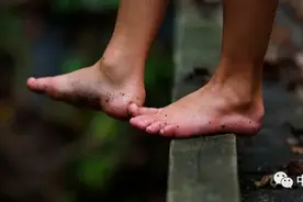 一项关于跑步的研究：穿跑鞋的可能还不如光脚的图片
