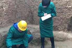 考古2019︱科技考古：多学科集成创新，构建学科体系蓝图图片