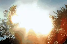 这天热得，连鸟都中暑了？！杭州今天再次热上全国第一，而且又破纪录了图片