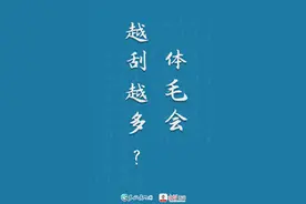 夏天来了，那些被刮掉的体毛会越长越多吗？图片