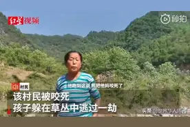 四川黑熊咬死3人背后：吃过人的熊，到底有多可怕？图片