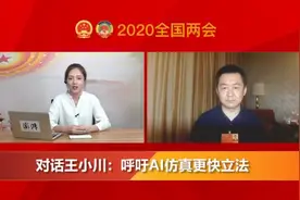 对话王小川：呼吁AI仿真更快立法视频封面