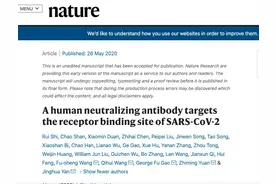 《自然》：中国团队恒河猴实验证明中和抗体显著抑制新冠感染图片