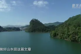 全国人大代表张林顺：画好山水画 走好生态小康路视频封面