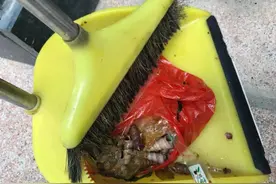 该！福建一女子15楼扔下整袋垃圾！当场被抓！这回惨了…图片