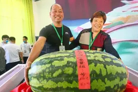 庞各庄“瓜王”教您挑西瓜，总共五招儿您收好图片