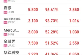 中概股暴涨暴跌上演“熔断潮”，这些一夜成名的公司有何来头图片