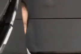 公告！延期图片