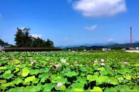 深度融入成渝“圈东北”三个县入列全省首批县域集成改革试点名单图片