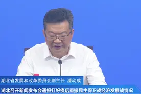 2.66万亿元！湖北放大招图片