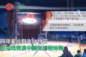 西安秦岭野生动物园被曝“用针扎熊”？园方回应图片