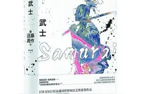 德川家康与丰臣氏最后的争斗中，日本武士扮演何种角色？图片