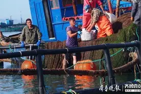 渤海深处黑鱼丰收，实拍大钦岛渔民豪迈的卖鱼场景图片