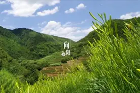 《盛夏有晴天》｜向阳而生，生长出遍地希望图片
