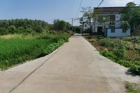 桐城文昌街道：“五大攻坚行动”冲刺脱贫攻坚“收官战”图片