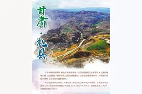 「决战决胜脱贫攻坚」甘肃礼县：“一扶一带”显成效图片