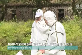 我国科学家在蜱及蜱媒传染病防控研究中取得重要发现视频封面