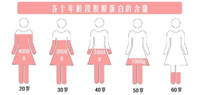 猪蹄花胶汤营养价值 猪蹄花胶汤营养价值及功效
