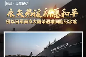 抗战·民族记忆⑨南京：永矢弗谖 祈愿和平图片