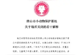 唐山市小动物保护基地正式关闭，无主动物已转交留养图片