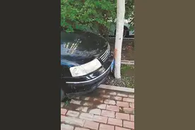 网友：神级停车 交警：炫技别违法图片