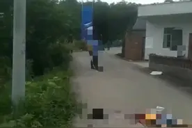 云南昭通11岁女孩开学第一天遇害 官方：公安机关正在处理此案图片