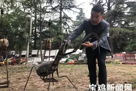 宝鸡园林人巧手改造 废旧农具变身螳螂、蝈蝈、猫头鹰……图片