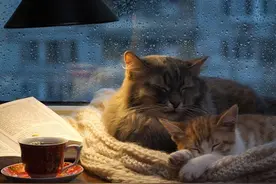 草堂读诗｜朗诵：南野《时间的错》《雨夜》图片