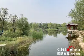 济南华山片区：迈入“黄河时代”的桥头堡图片