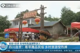 四川自贡：看2000件创意草雕品民俗，听精彩二胡音乐会赏文化大餐视频封面