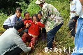“人象冲突”愈演愈烈：云南一家三口采茶遇野象，妻子遭袭受重伤图片