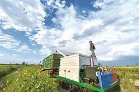 国有粮库空进空出虚报损耗，粮企一把手贪腐获刑图片