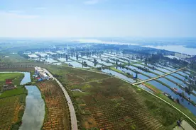 “发展好一个产业，富裕一方百姓”——中国石化助力安徽颍上、岳西持续巩固脱贫成果图片