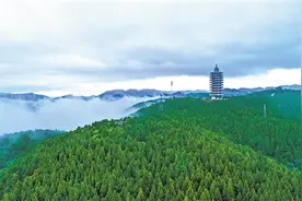盘活青山 做活产业——山东淄博市原山林场践行“绿水青山就是金山银山”理念调查图片