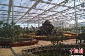 长春马鞍山村：从贫困村到旅游村的美丽蝶变图片