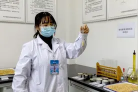 中央储备粮凯里直属库 带你走进“大国粮仓”图片