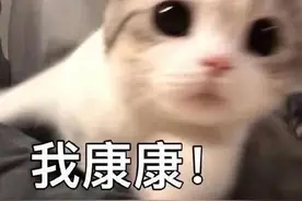 “五一”天气预报来了！吉林省这些地方有雨图片