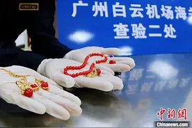 广州海关查获违规寄递濒危红珊瑚制品11件图片