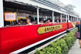 东莞：乘坐小火车游田园风光，用不一样的方式做农业科普教育图片