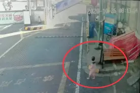 女童裹着尿不湿“离家出走” 警民合力寻家人视频封面