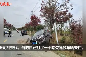开车时打了一个哈欠，汽车倒挂上了树图片