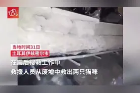 奇迹生还！土搜救人员从废墟中解救猫咪图片