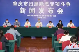 广东肇庆立案查处涉黑恶腐败和“保护伞”557人图片