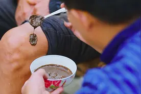 “三千症候九千药”，立冬前与花垣苗医一起追逐一味苗药图片