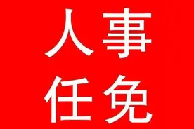 重要人事！华电国际选举丁焕德为董事长图片